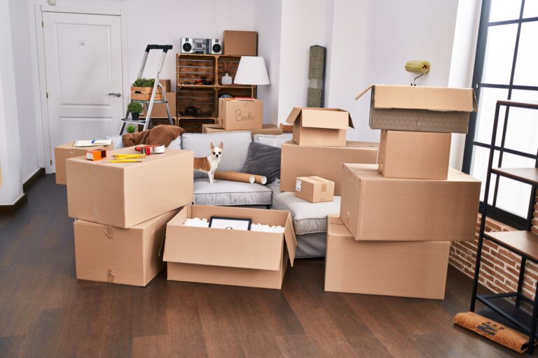 Where to Get Free Moving Boxes in Orlando: 10 Smart Places to Look ...