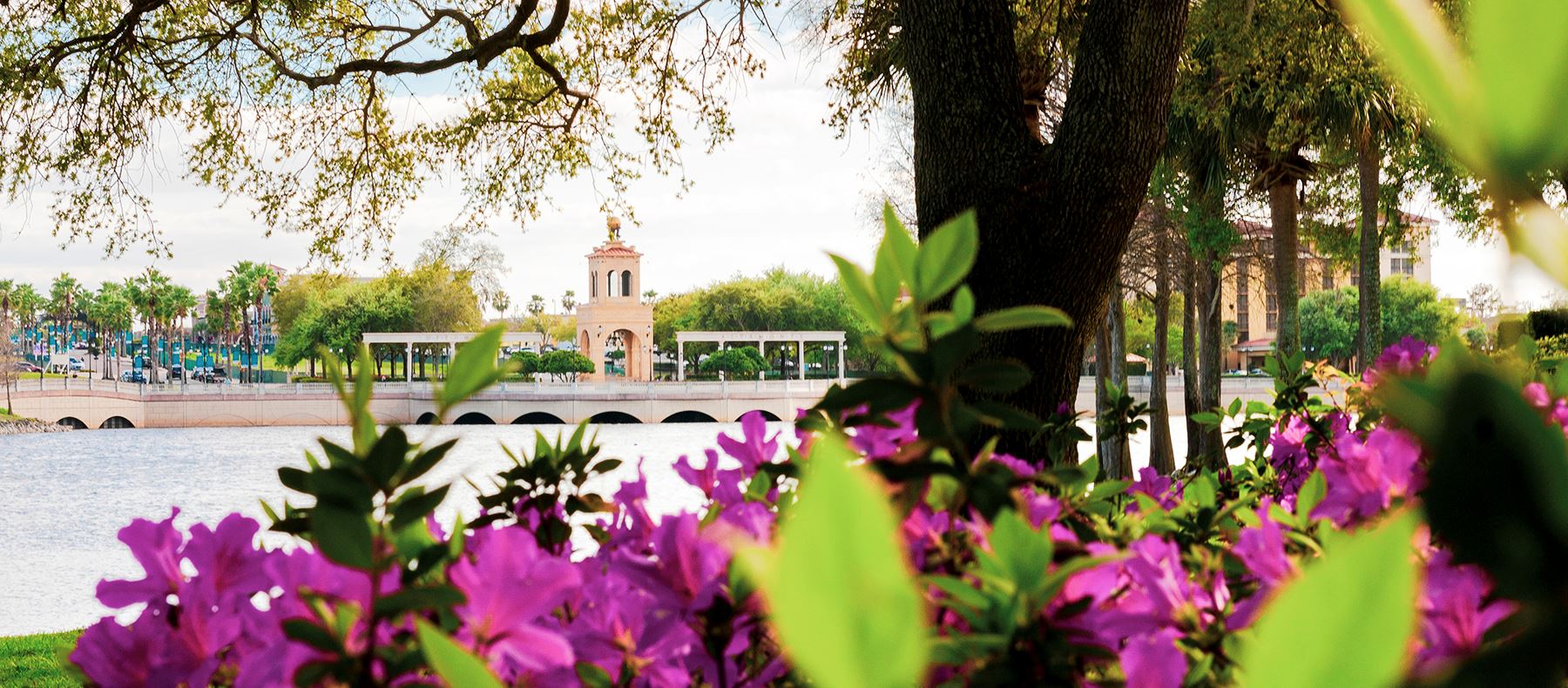 Purple flowers in the foreground with a tree and lake, and a distant building featuring an archway and tower across the water—just move it into your favorite setting for a stunning view.